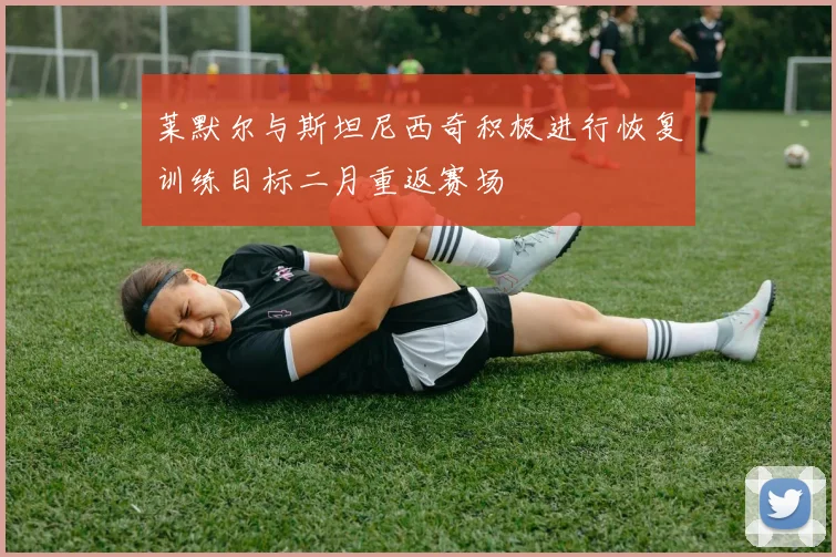 莱默尔与斯坦尼西奇积极进行恢复训练目标二月重返赛场
