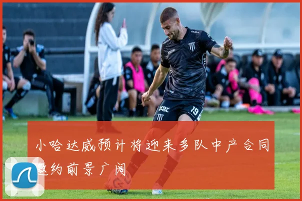 小哈达威预计将迎来多队中产合同邀约前景广阔